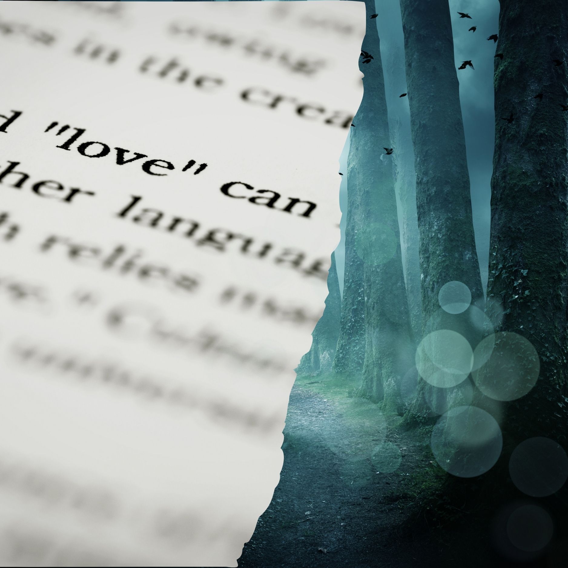 Page torn with one half showing a dark gloomy forest and the other half a book page with the word 'love' visible